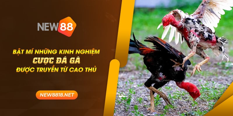 new88